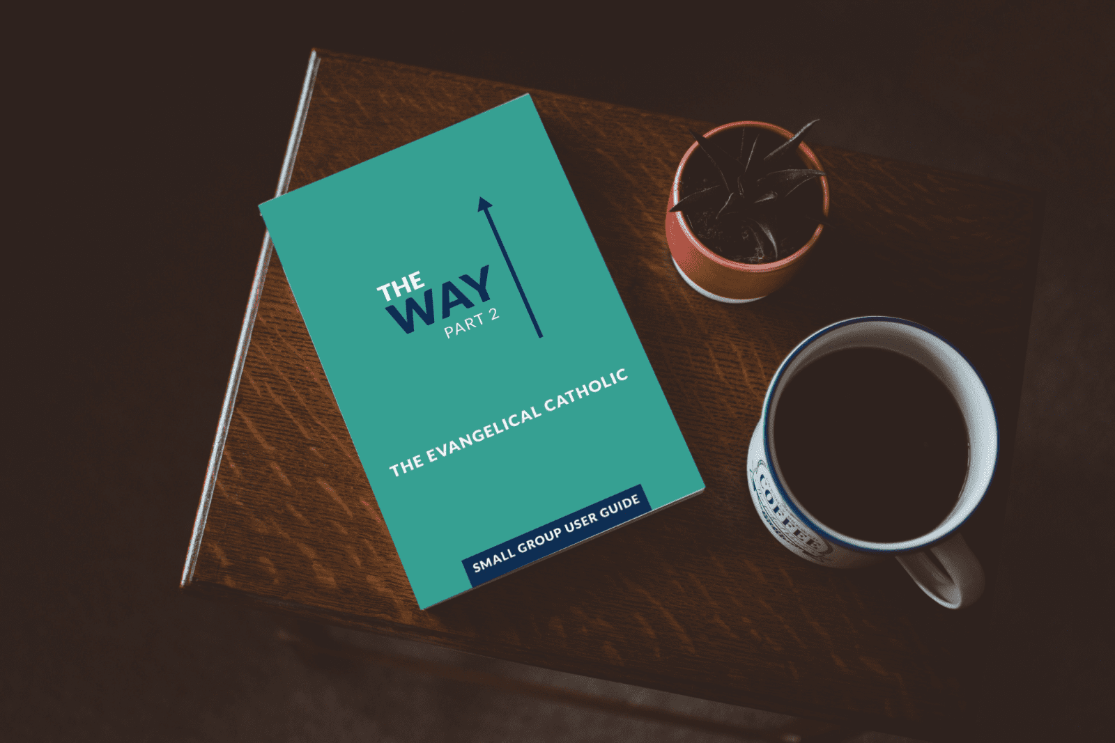 the way 2 participant